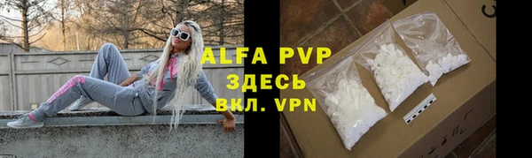хмурый Абаза