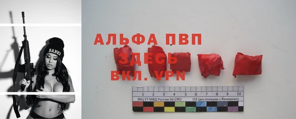 хмурый Абаза