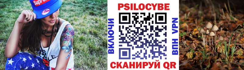 сколько стоит  Аткарск  kraken онион  Галлюциногенные грибы Psilocybine cubensis 